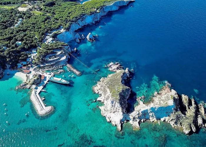 Viola Village *