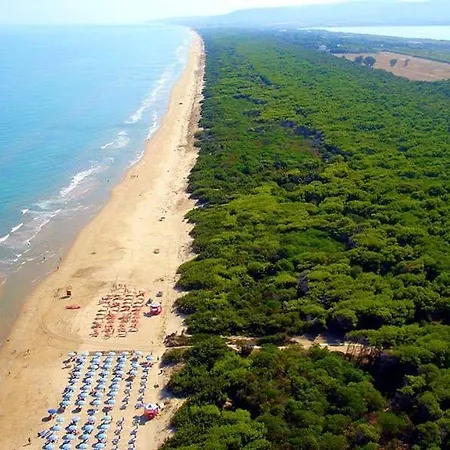 Viola Village *