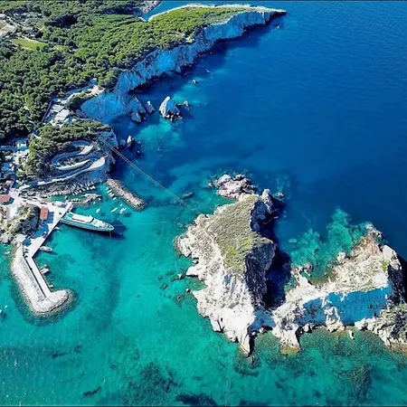 Viola Village *