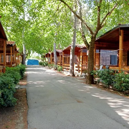 Viola Village *