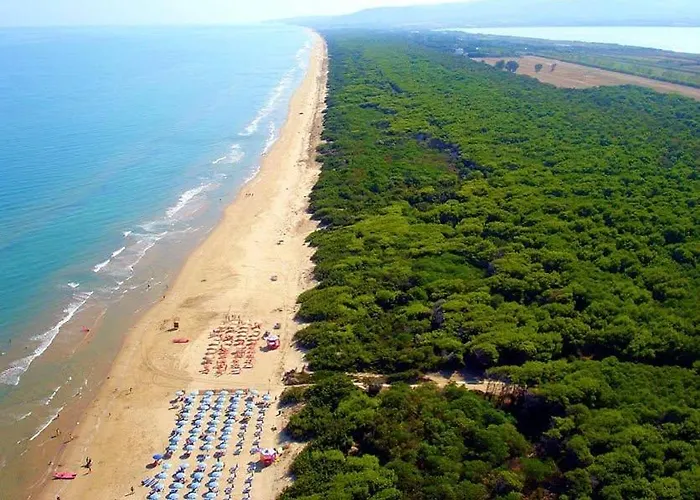Viola Village *